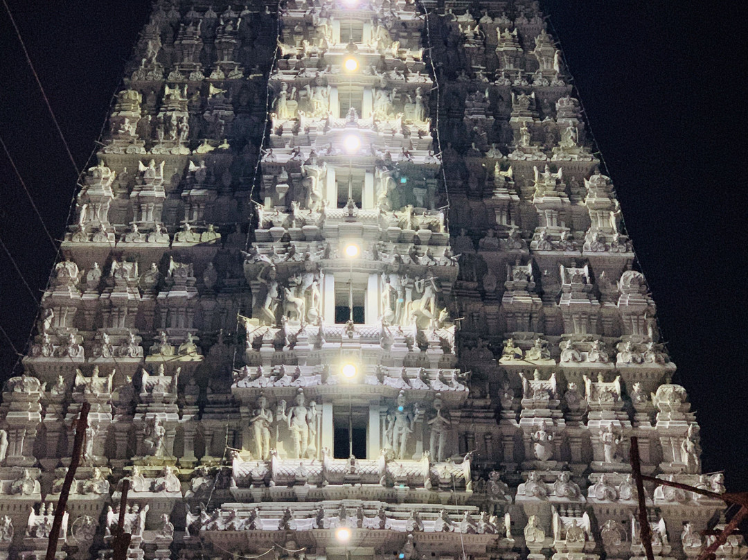 Sri Govindarajaswami Temple景点图片