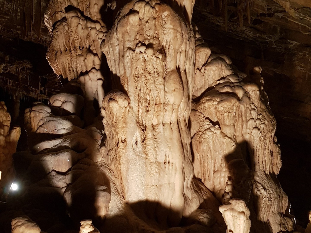 Zupanova jama cave景点图片