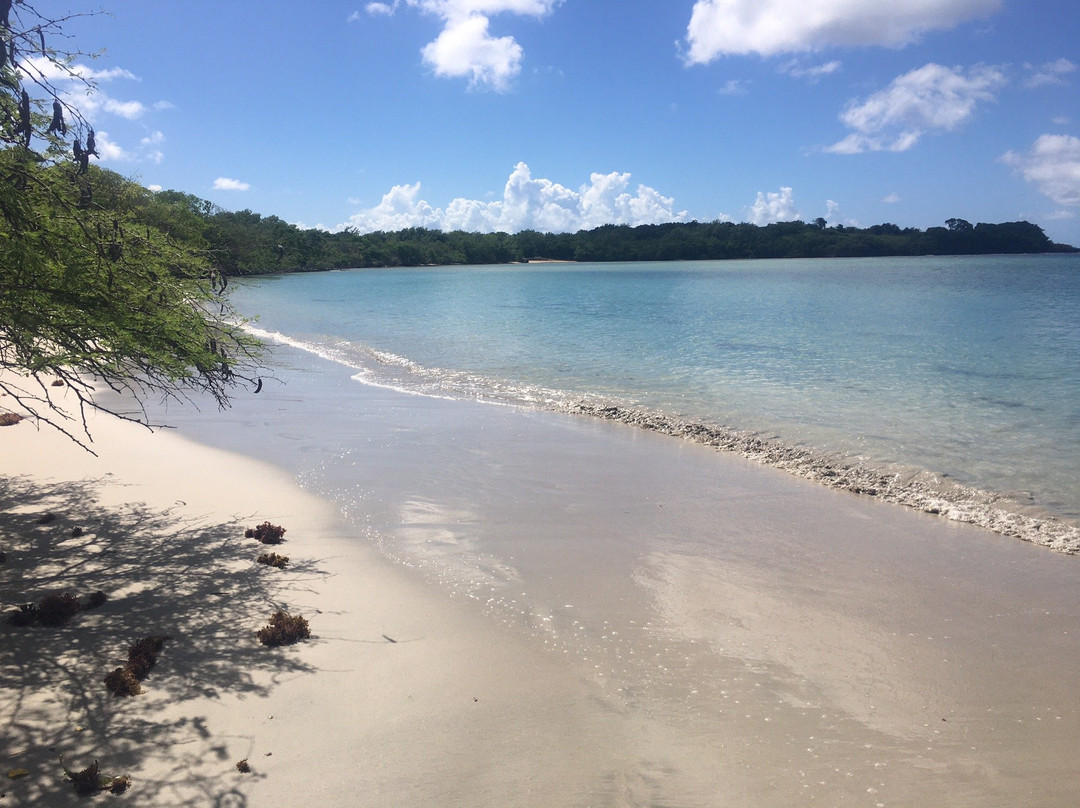 Anse Meunier-Sainte-Anne必去景点