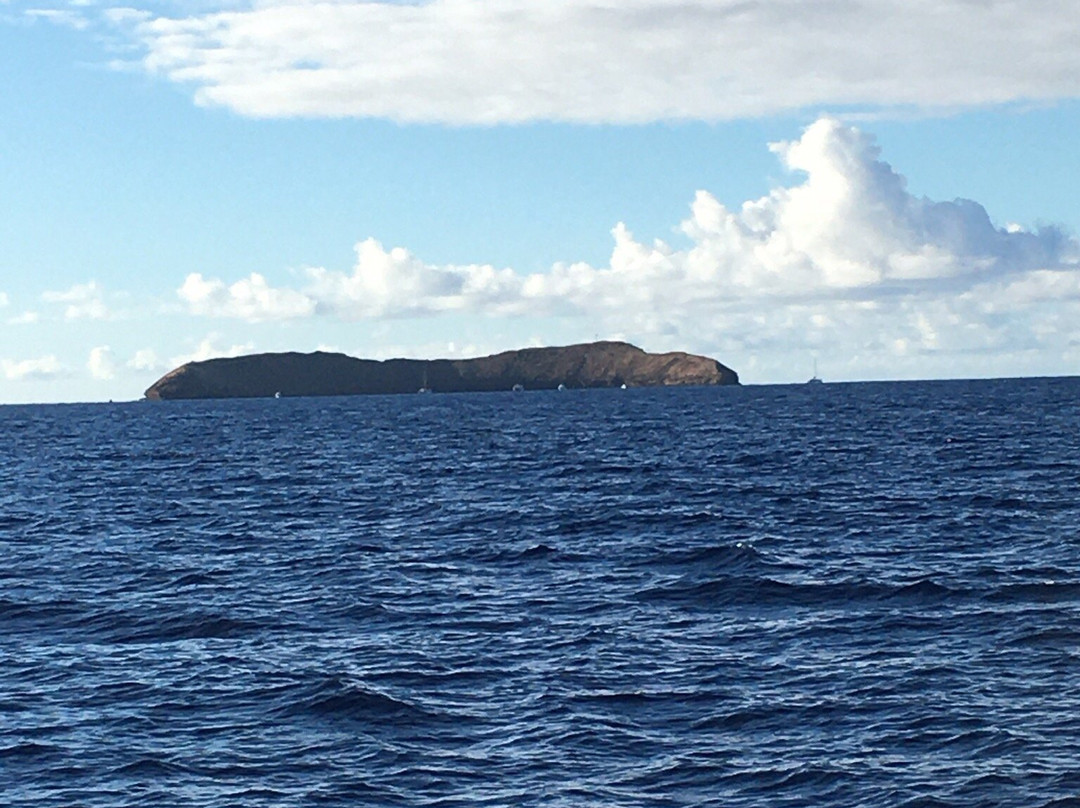 Maui Snorkeling景点图片