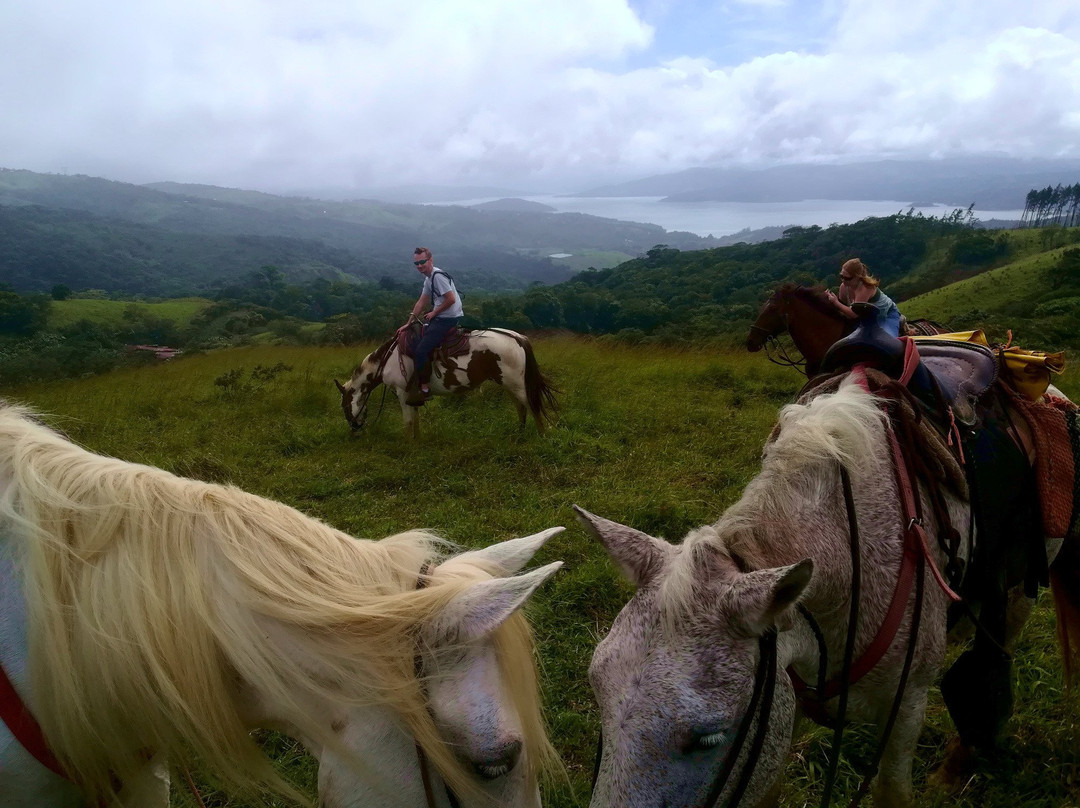 Tokpela-Piedras必去景点