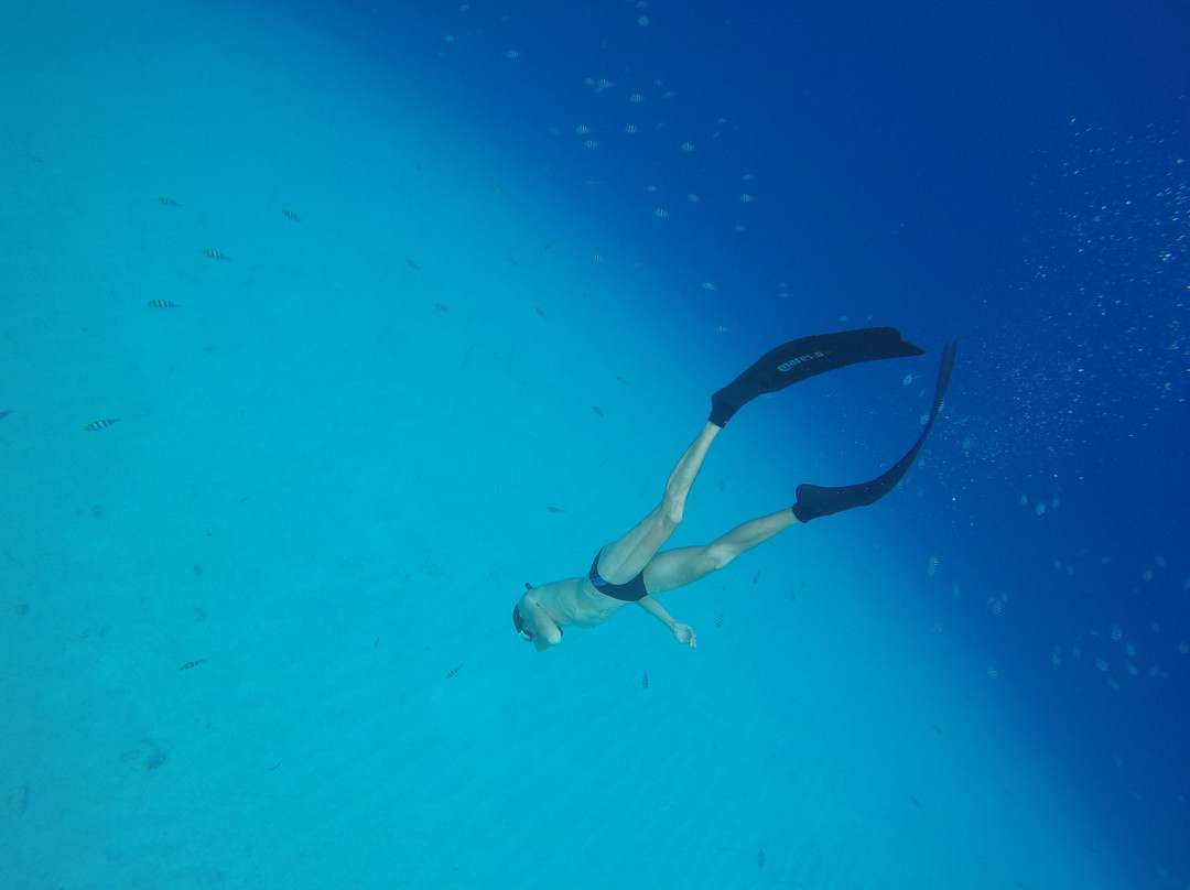 Freedive Dahab-达哈卜必去景点