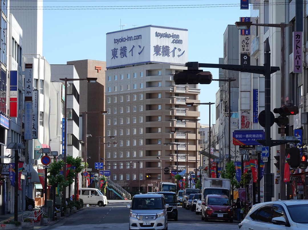 东横INN 德岛站前主图