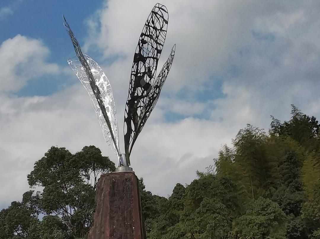 Dragonfly Nature Park-四万十市必去景点