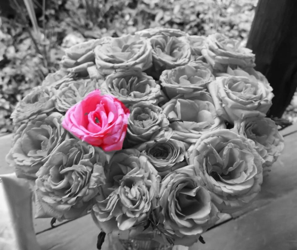 Roshani Guest House & Restaurant主图