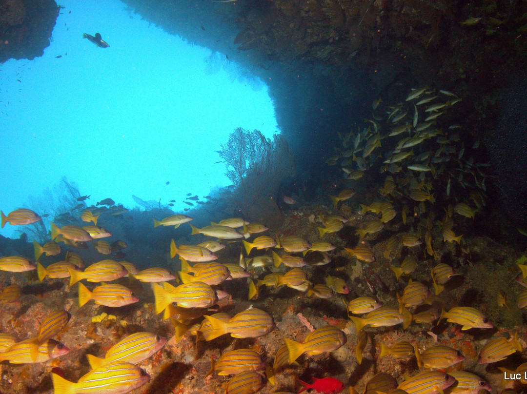 Indian Ocean Abyss景点图片