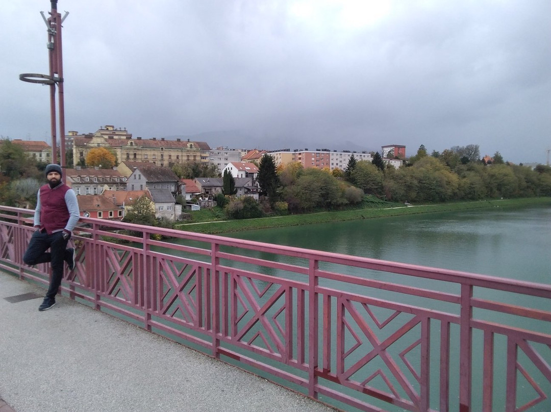 Old Bridge (Drava Bridge)景点图片