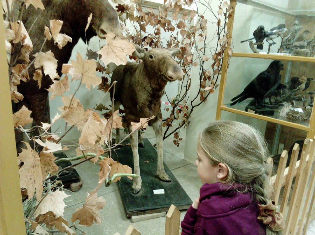 Nature Museum-Borok必去景点