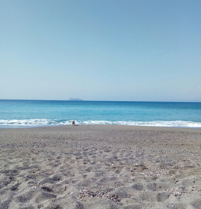 Kommos Archaeological Site-Pitsidia必去景点