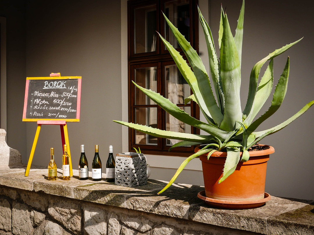 Bardon Winery-Erdobenye必去景点