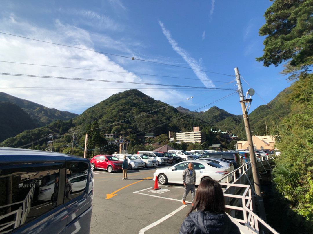 Gozaisho Ropeway景点图片