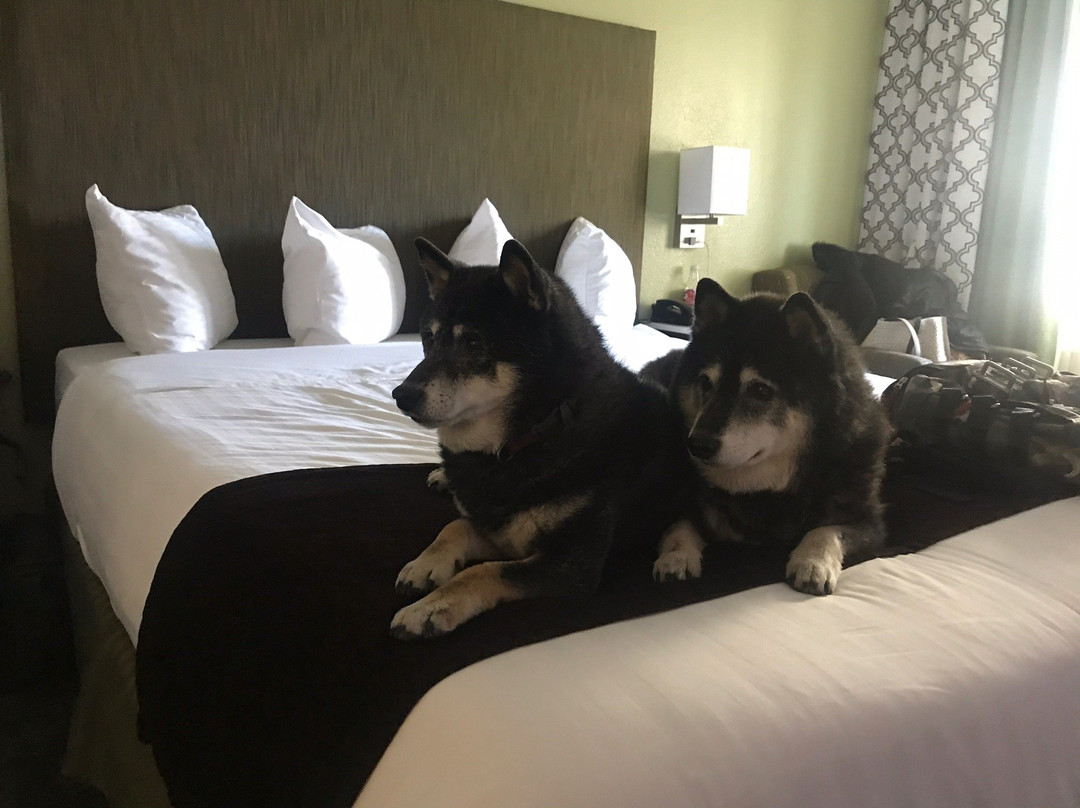 瓦格邦德主教酒店主图