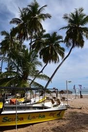 Scuba Lanka-Uppuveli必去景点