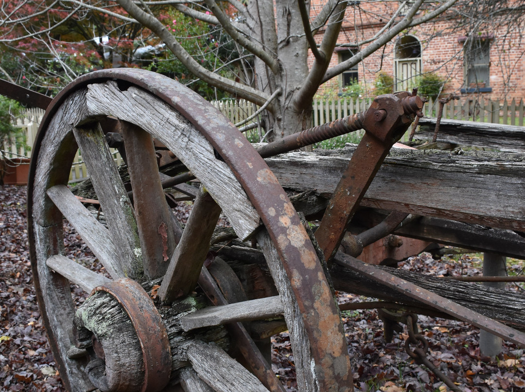 Windsor House Walhalla主图