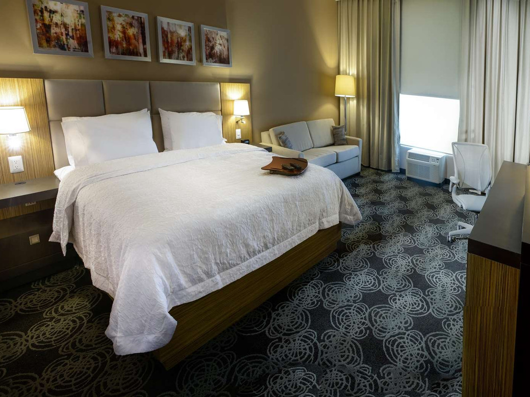 Hampton Inn By Hilton Zacatecas主图