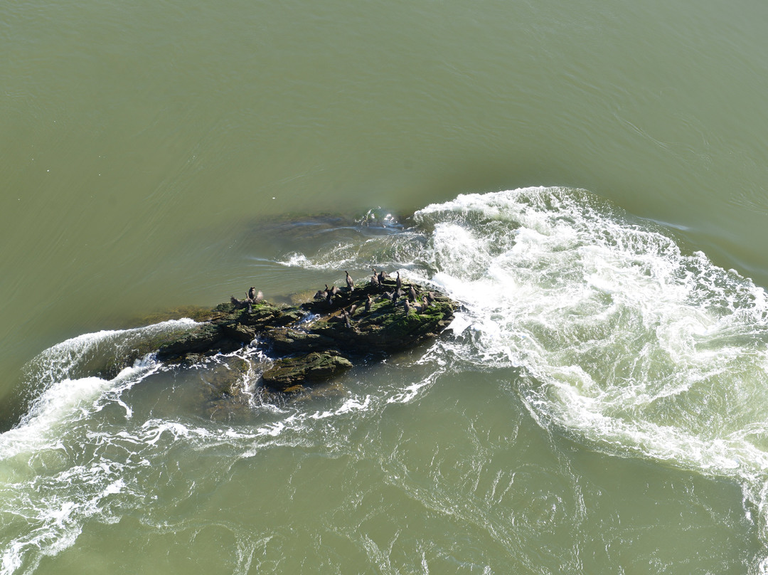 Harbour Passage-圣约翰必去景点