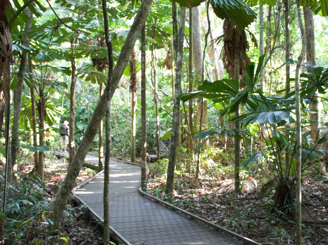 Dubuji Boardwalk-Cape Tribulation必去景点