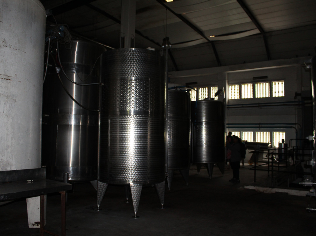 Zevenwacht Cellar & Vineyards-Kuils River必去景点