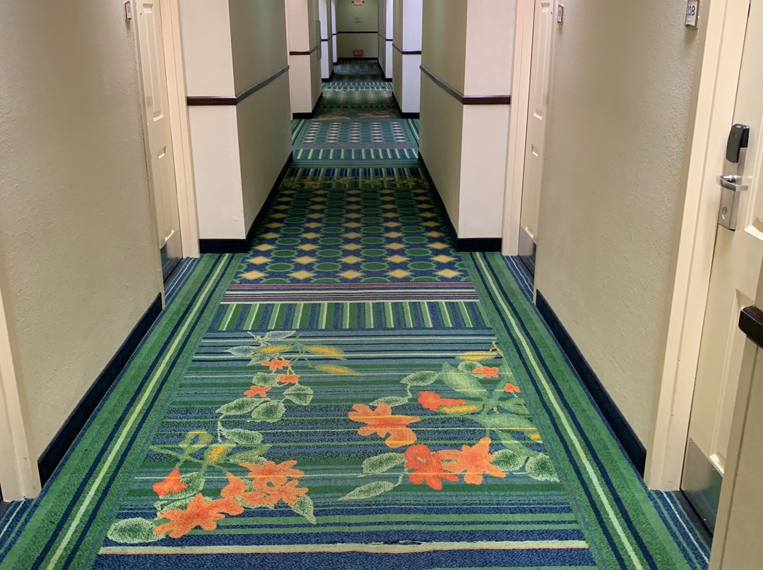 圣卡洛斯酒店住宿-Fairfield by Marriott Inn & Suites San Francisco San Carlos