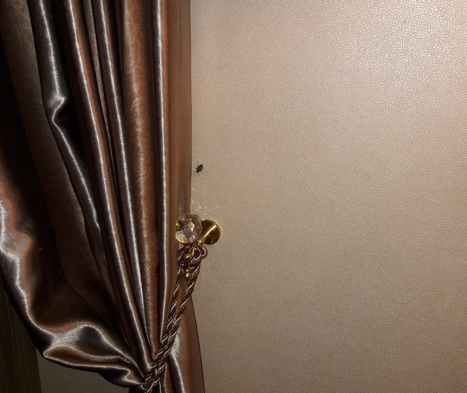 Park Hotel Stara Zagora主图
