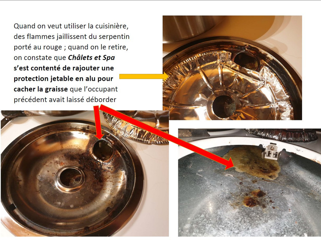 Chalets & Spa Lac Saint-Jean主图