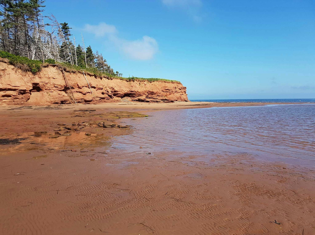 Cabot Beach Provincial Park景点图片