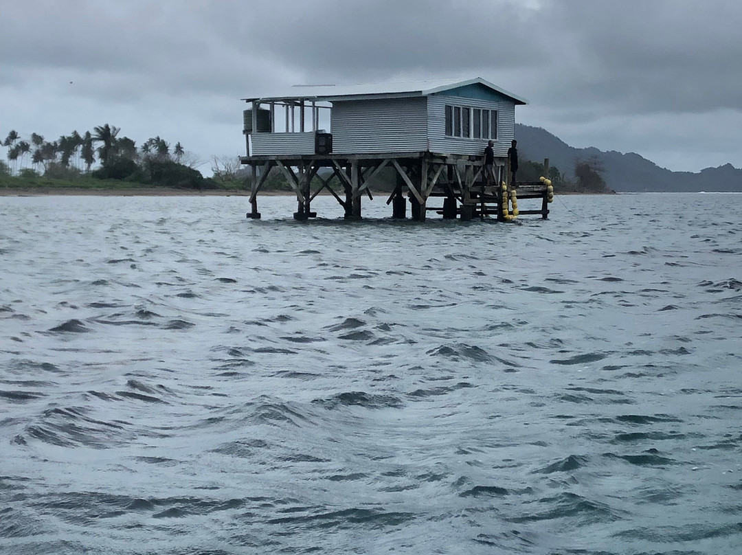 Civa Pearl Farm-塔韦乌尼岛必去景点