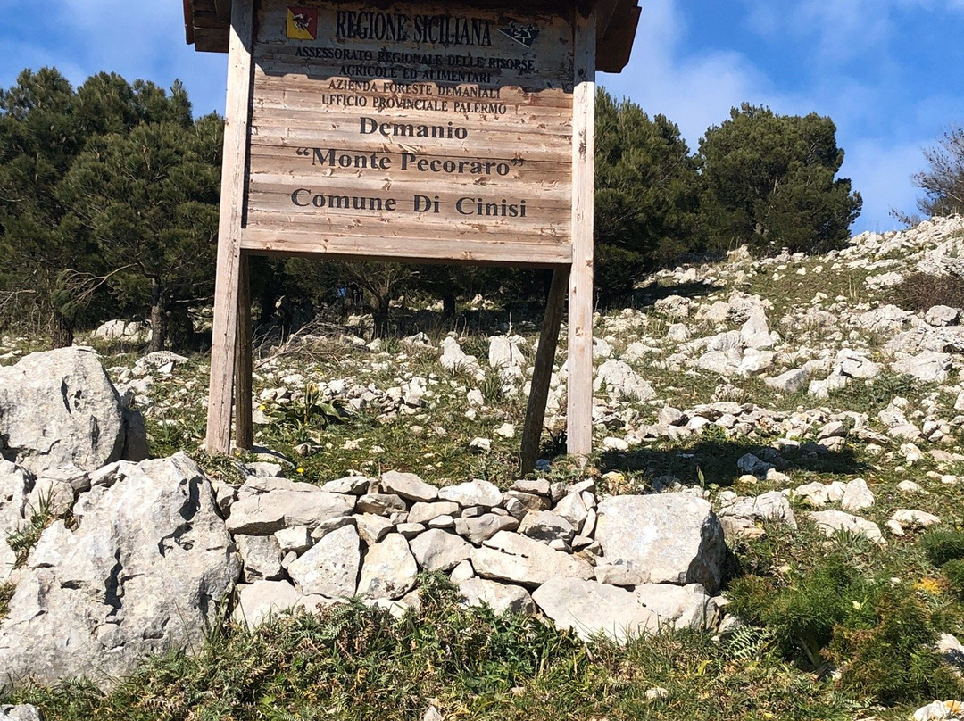 Monte Pecoraro景点图片