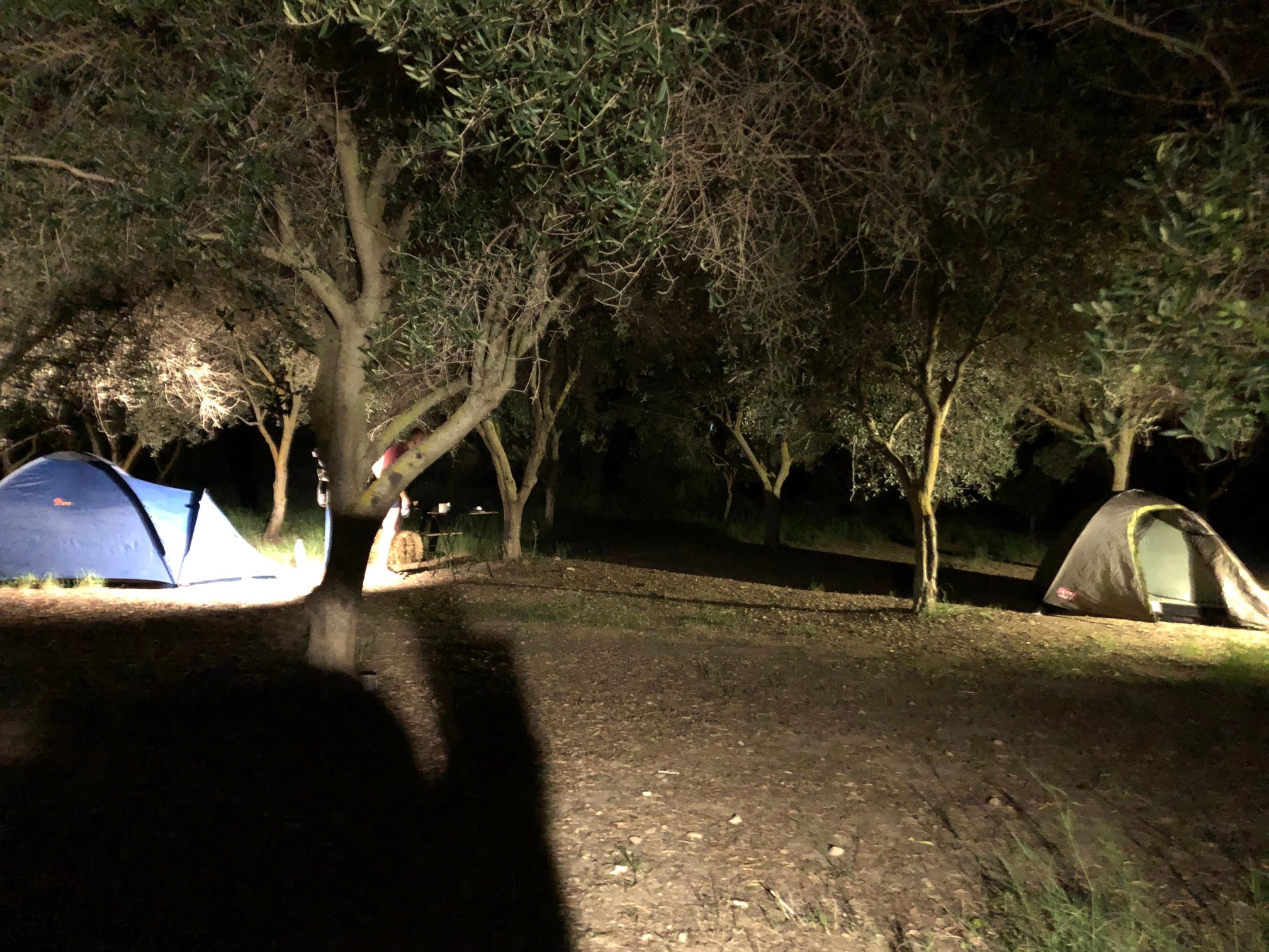 Agricamping Erbavoglio-官方