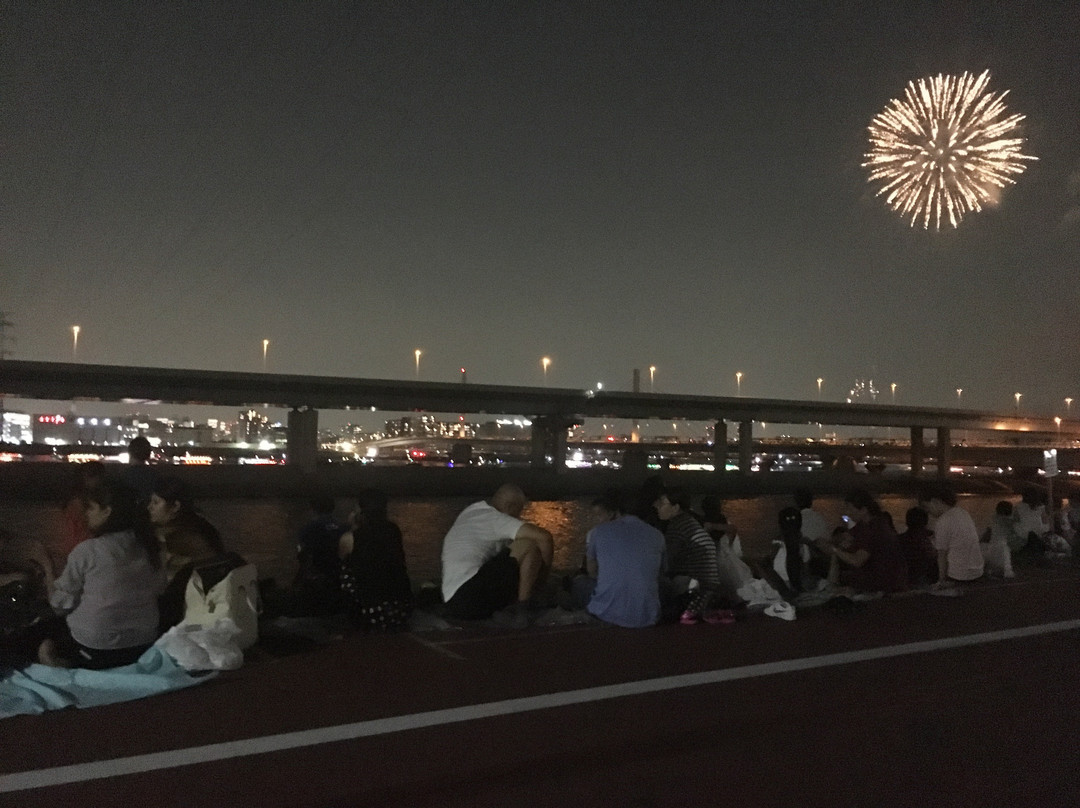 Edogawa Fireworks-江戸川区必去景点