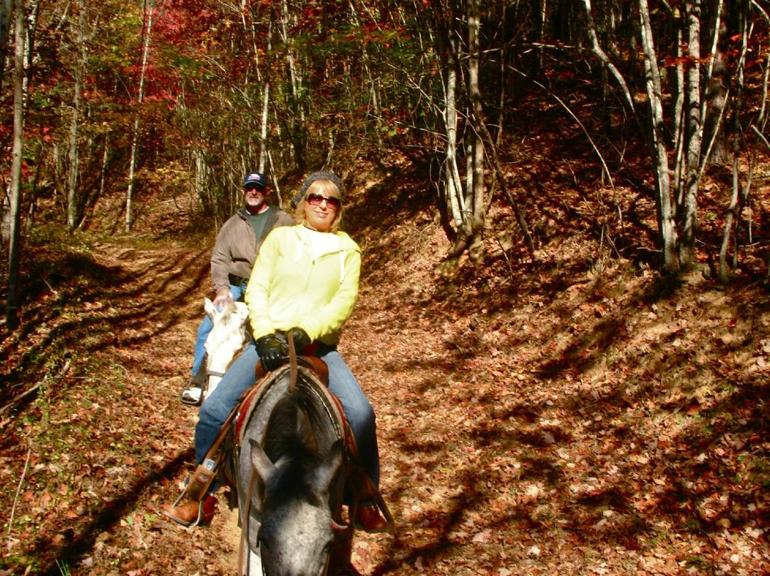 Nantahala Village Riding Stable景点图片