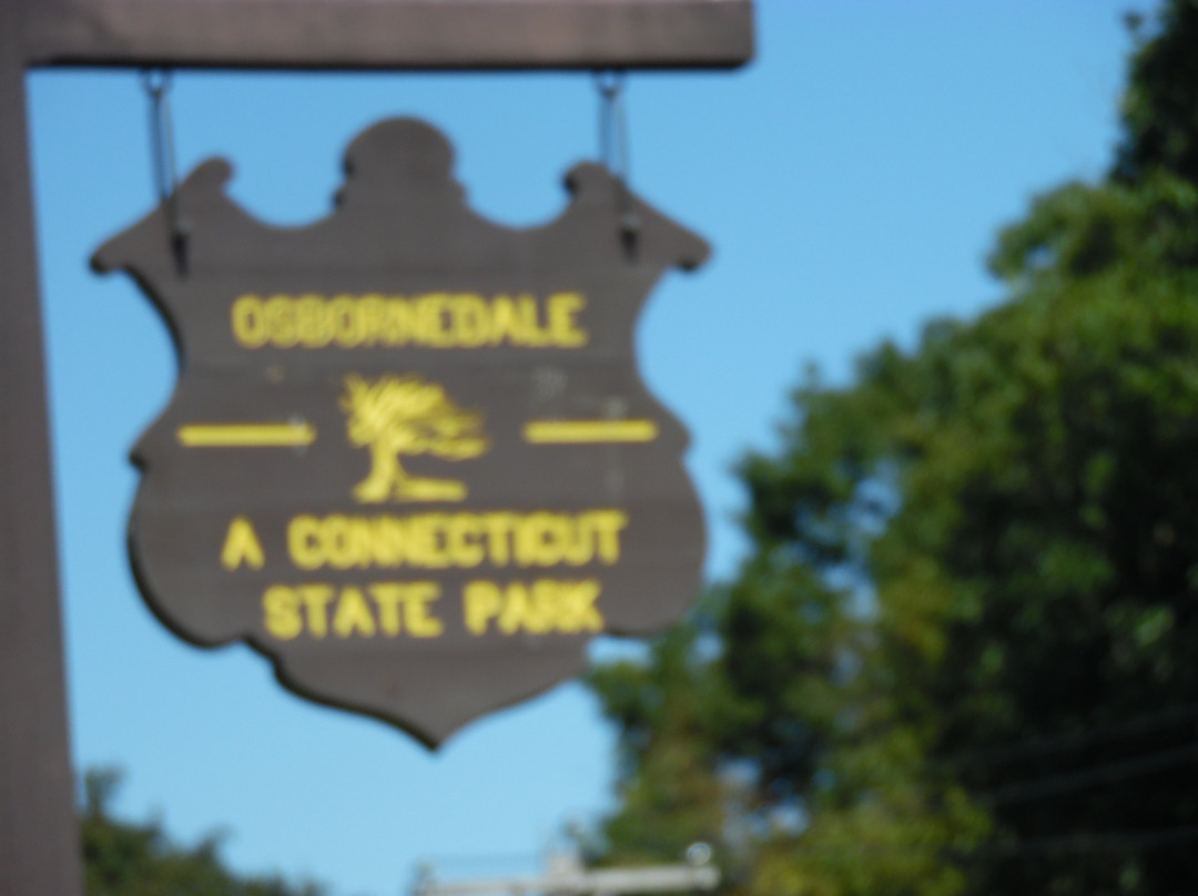 Osborndale State Park景点图片