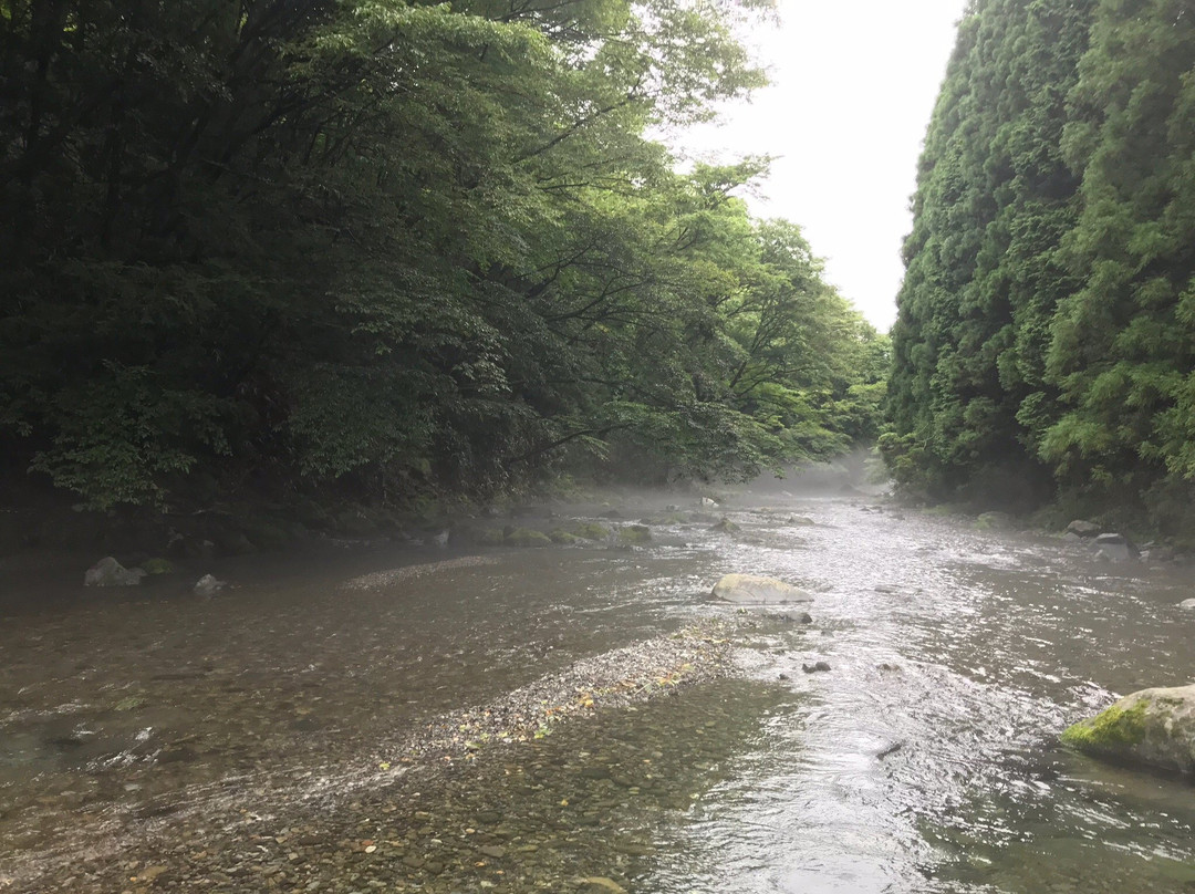 Nishifuji Auto Camp Site