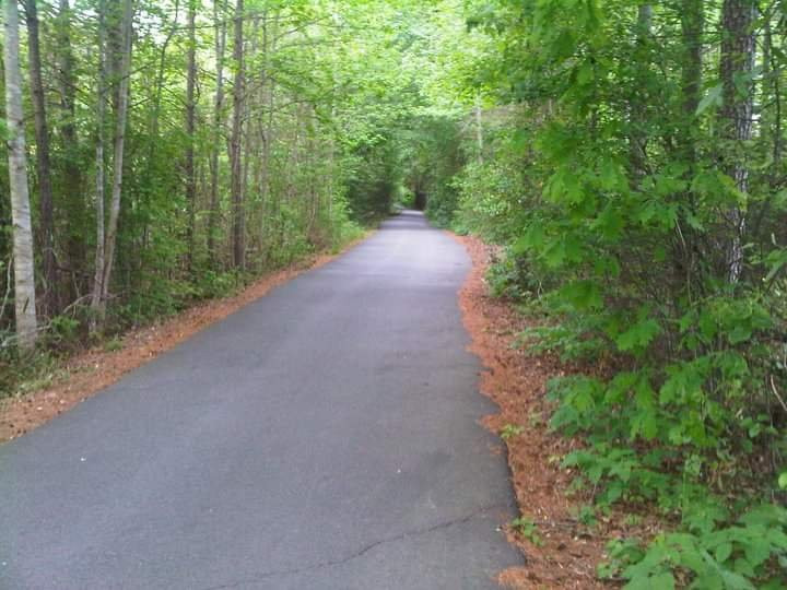 Golf Cart Paths-桃树市必去景点
