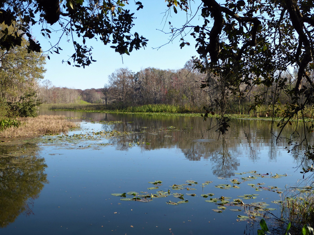 Haynes Creek Preserve景点图片