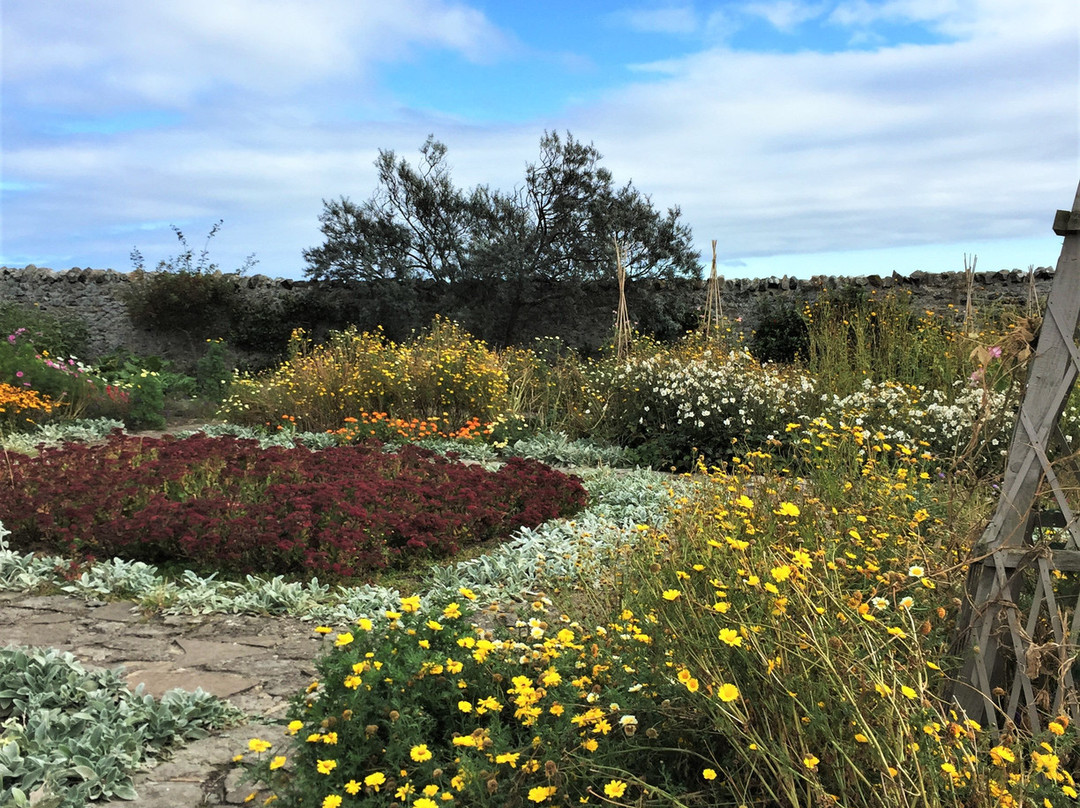 The Gertrude Jekyll Garden景点图片