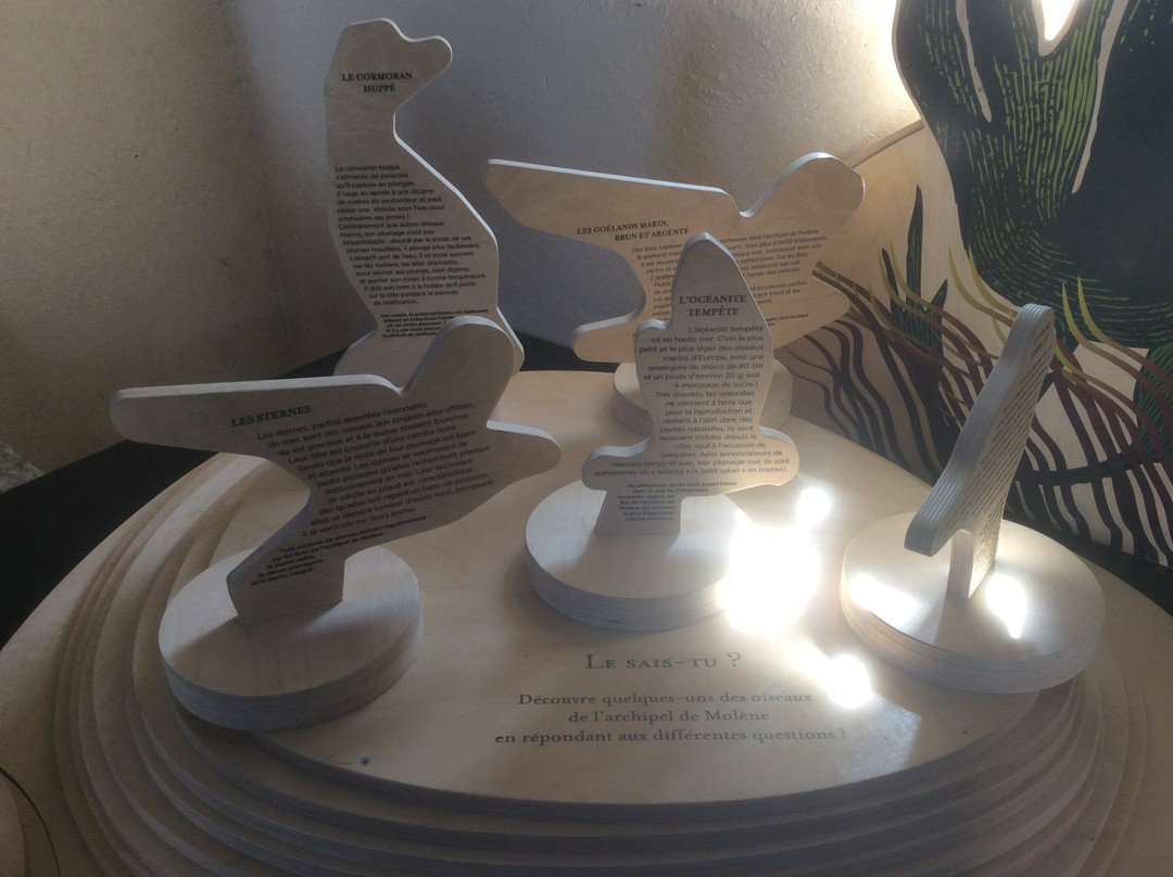 Maison de l'environnement insulaire-Ile Molene必去景点