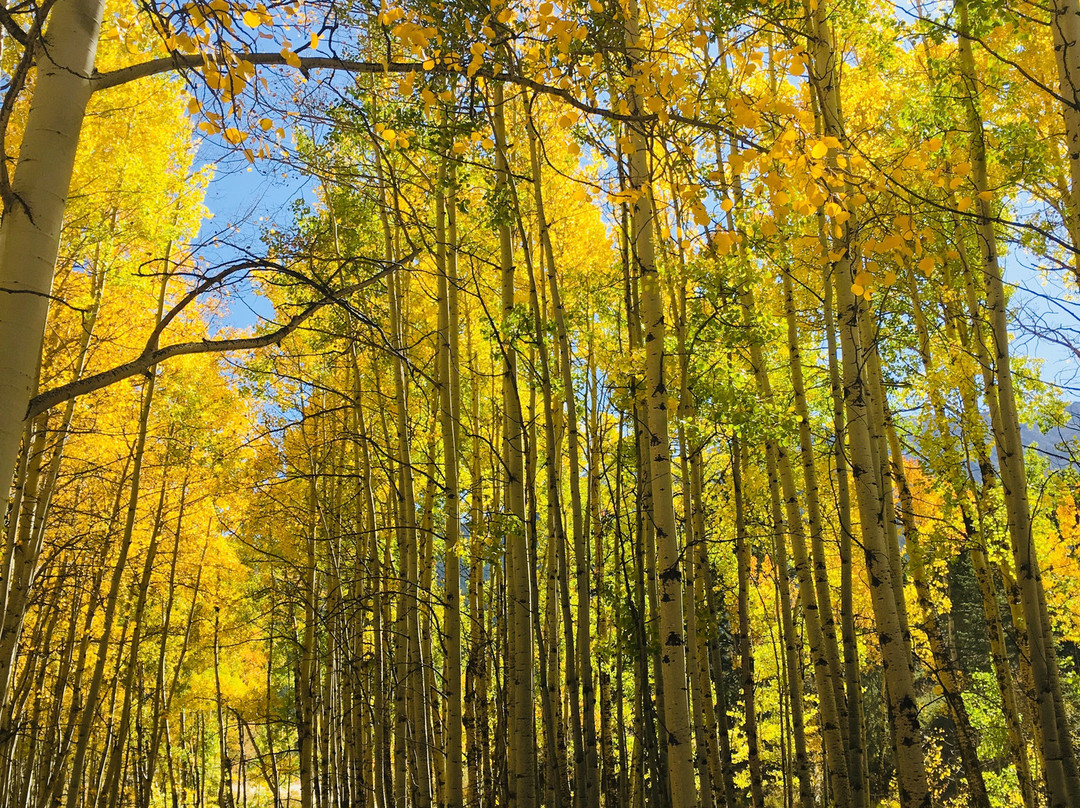 Cottonwood Lake景点图片