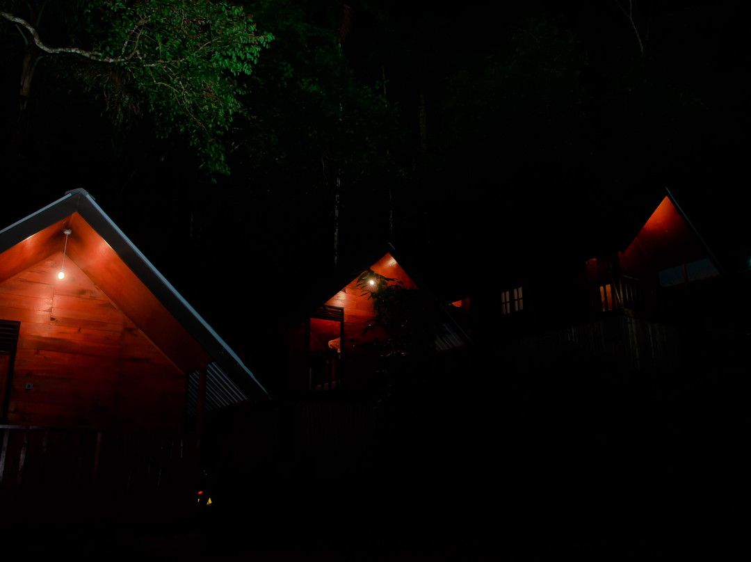 Sinharaja Expedition - Tour Guide In Sinharaja Rainforest-Deniyaya必去景点