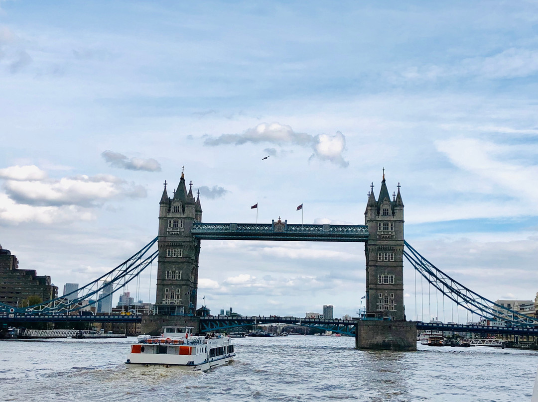 Thames River Tours -  Day Tours景点图片