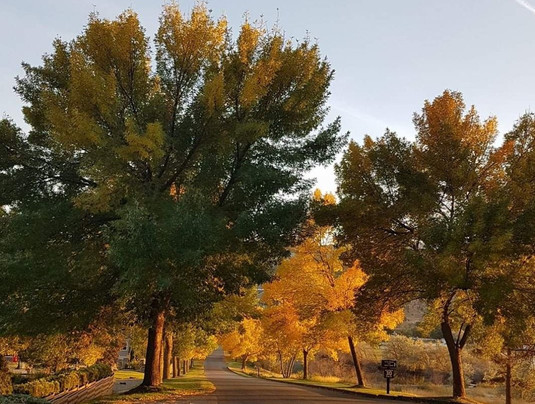 Rivershore Estate & Golf Links-坎卢普斯必去景点