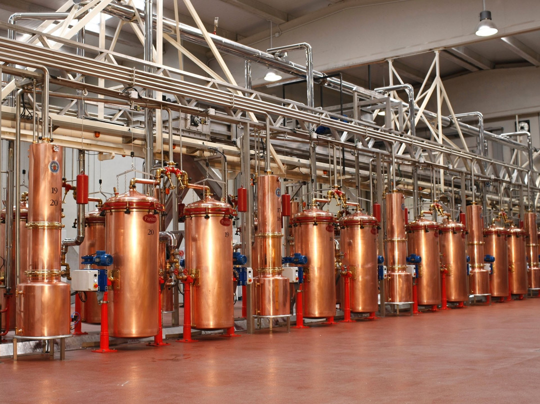 Orujos Panizo-Camarzana de Tera必去景点