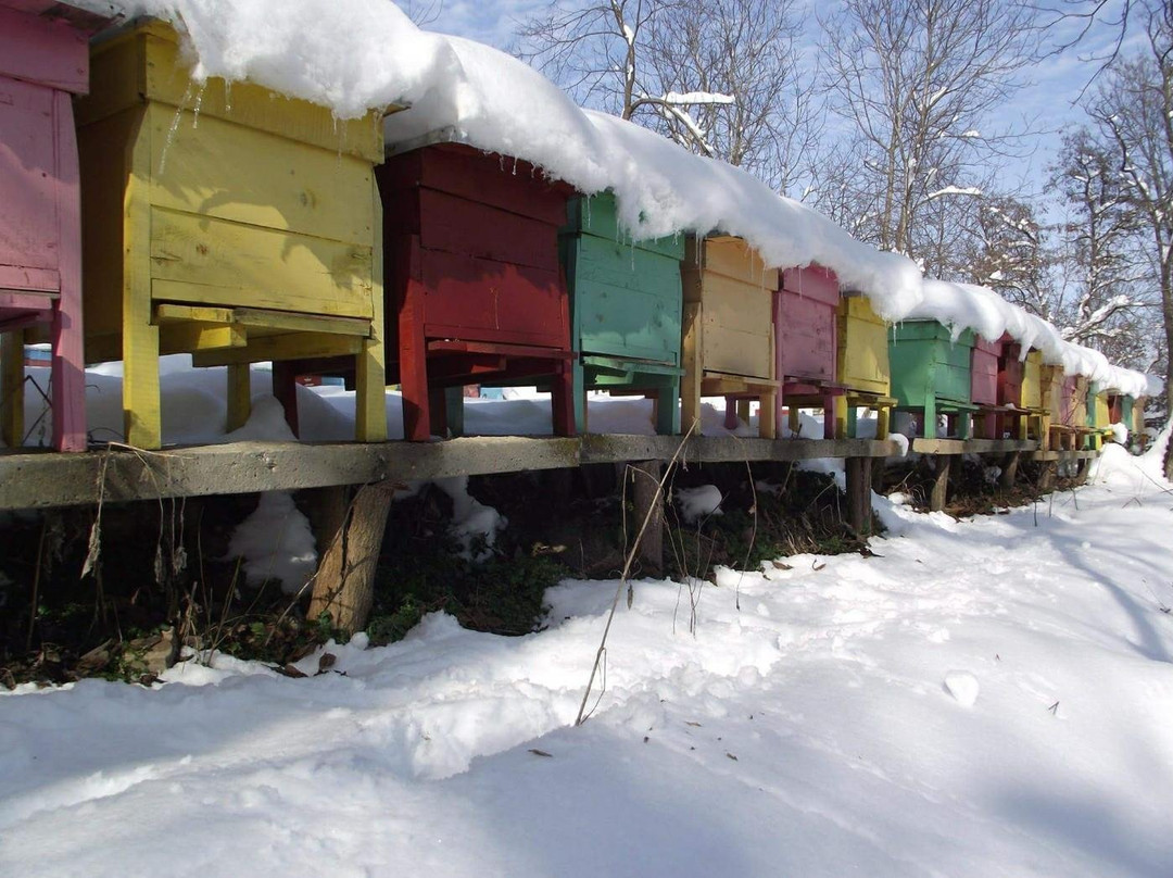 Zarapovo Honey House