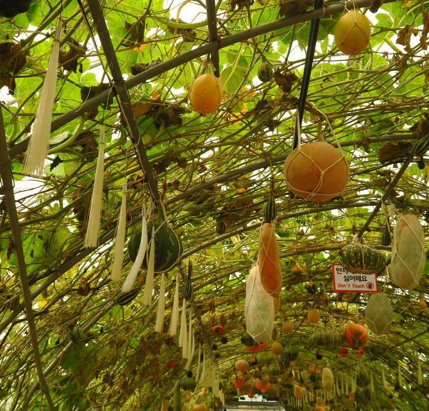 Nari Park-杨州市必去景点