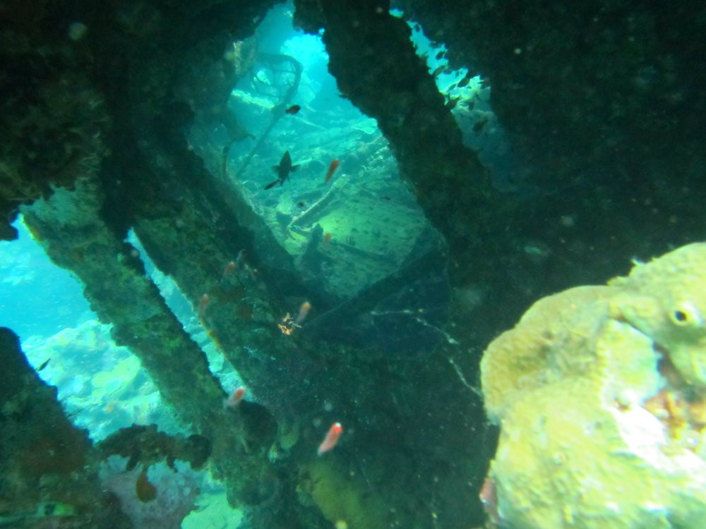 Dive Munda景点图片