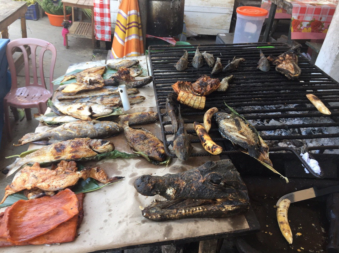 Marlon Ashanga - Jungle Guide-伊基托斯必去景点