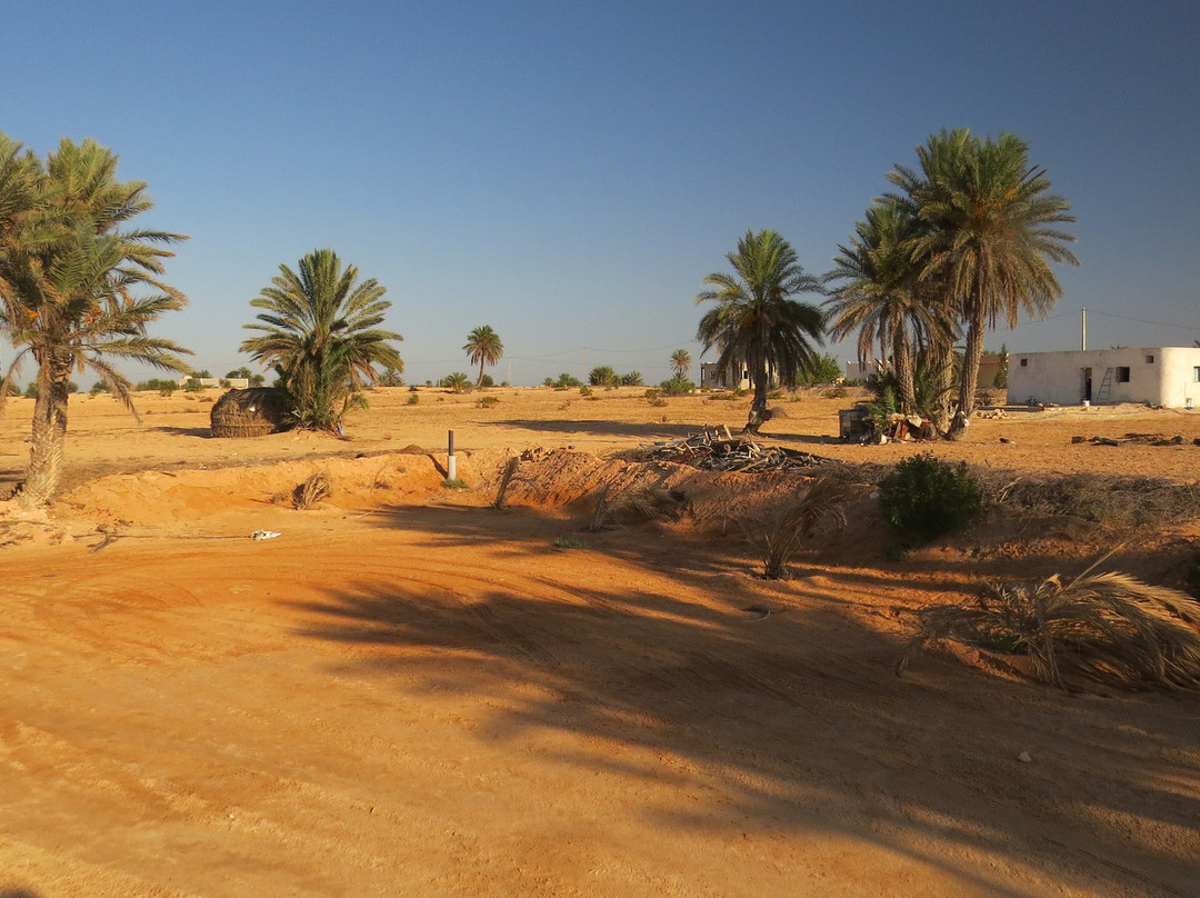 Dar Chick Yahia主图