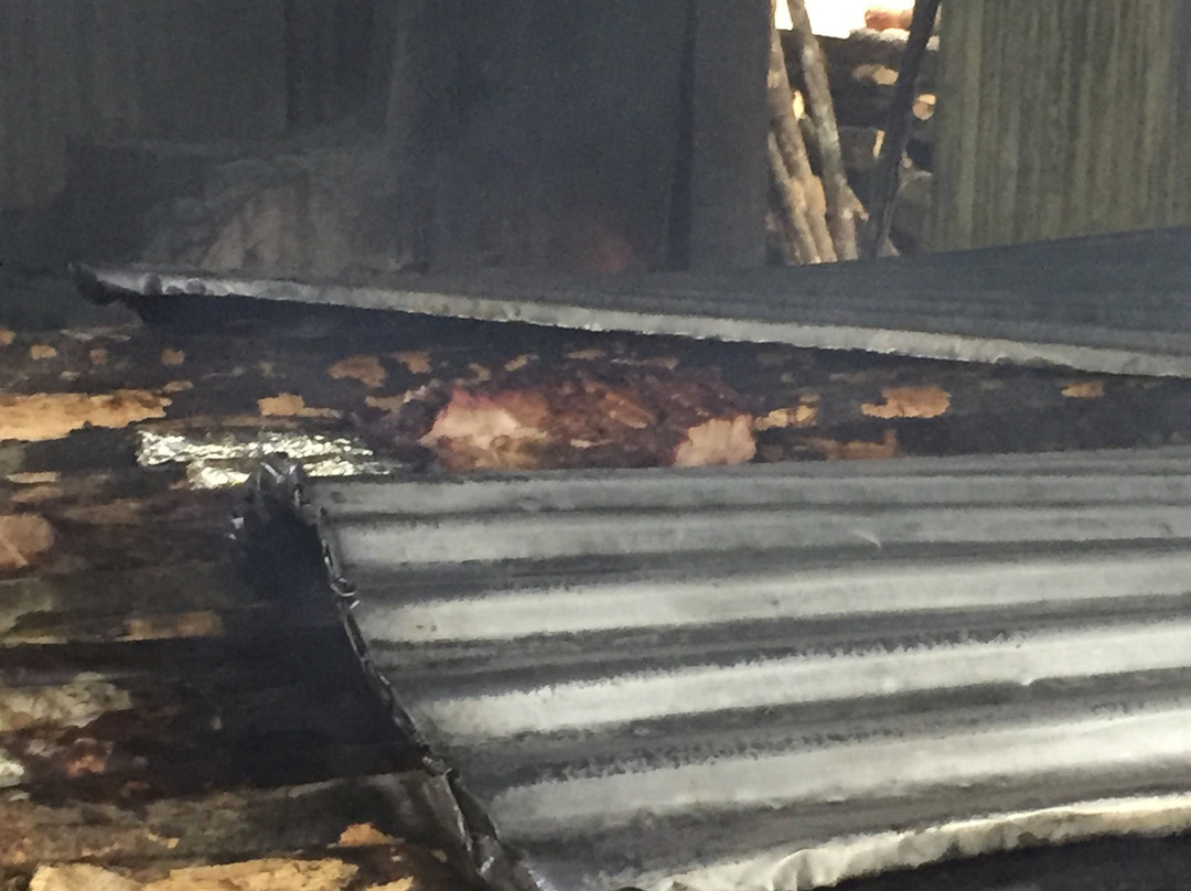 Real Tours Jamaica-法尔茅斯必去景点