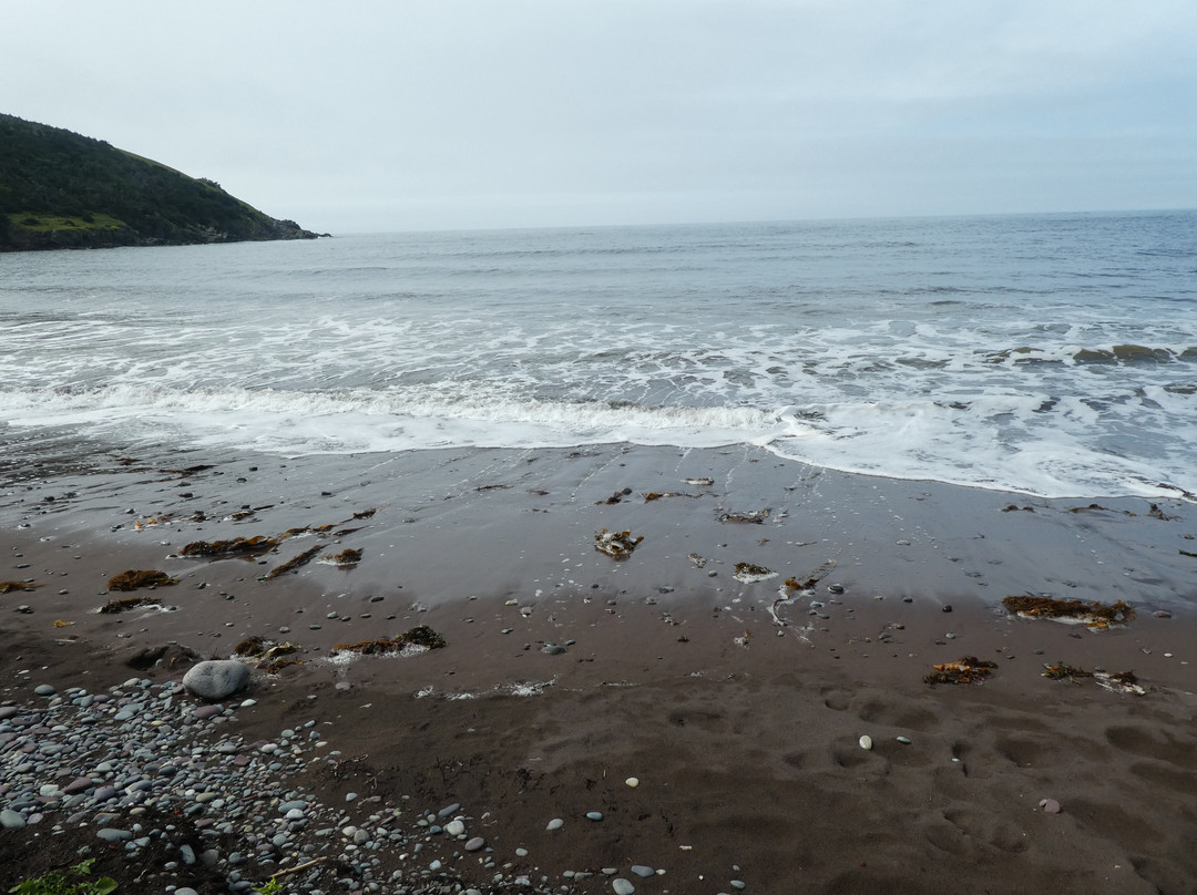 Gooseberry Cove Provincial Park景点图片