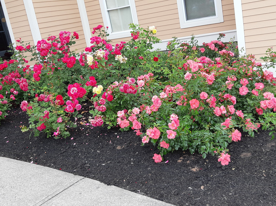 Rodd Crowbush Golf Resort主图